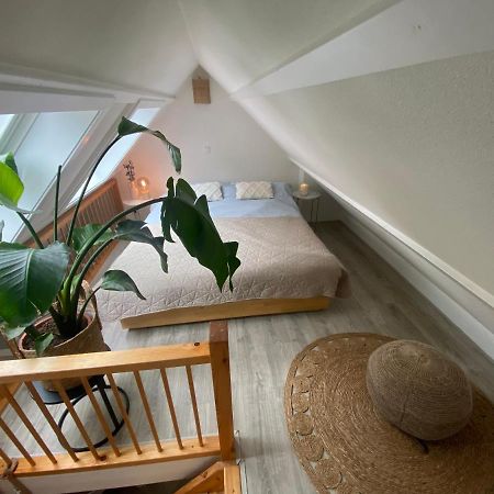 'T Vissershuisje Zandvoort Exteriör bild
